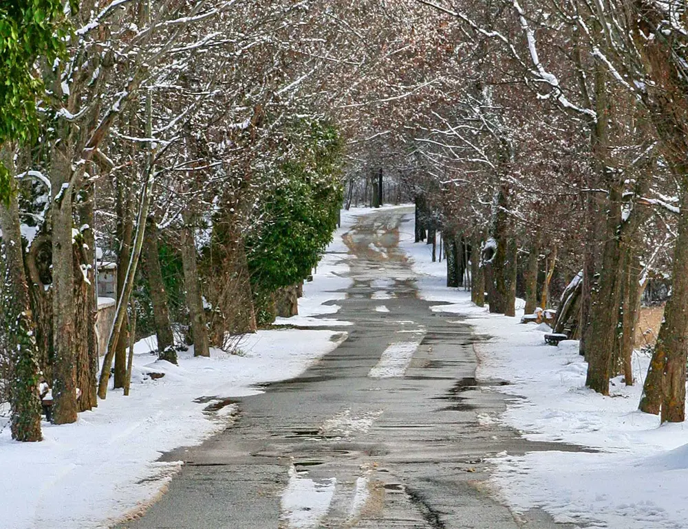 Δρόμος στη Βυτίνα καλυμμένος με χιόνι, μέσα σε κατάλευκο δάσος ελάτης και πλατανιών.